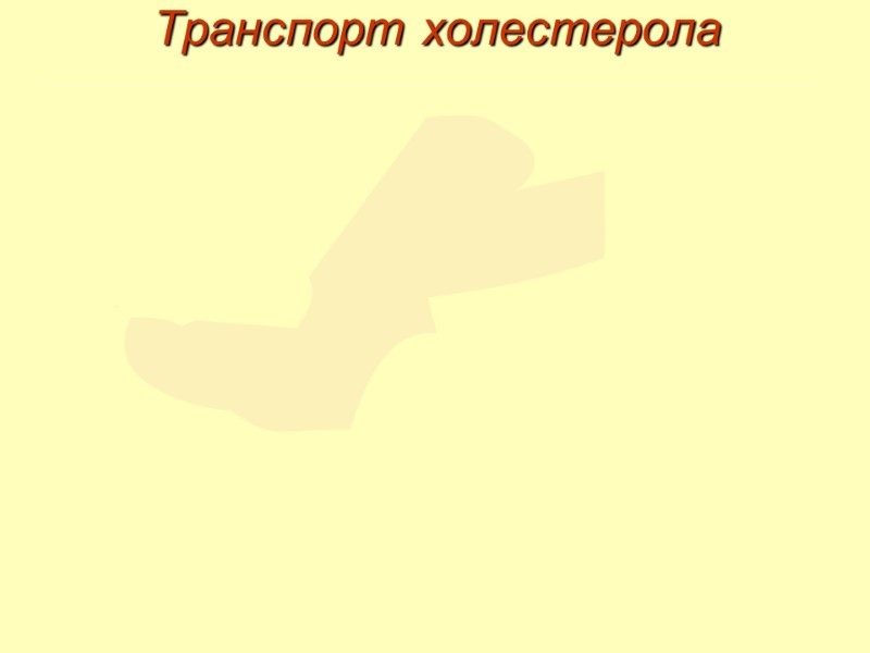 Транспорт холестерола